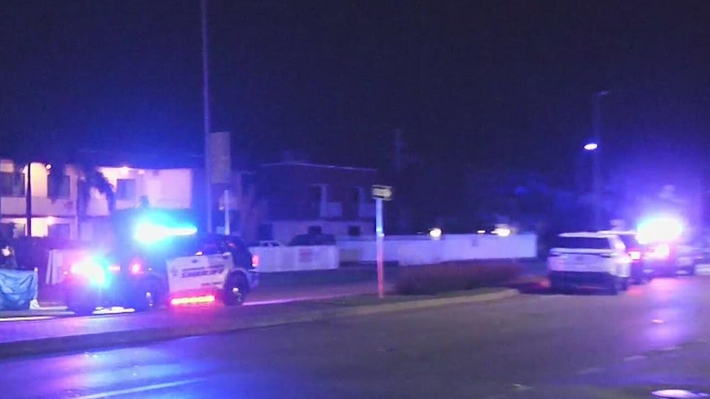 Woman accused of killing man in Dania Beach hit-and-run, BSO says — CBS Miami, Estero Community news