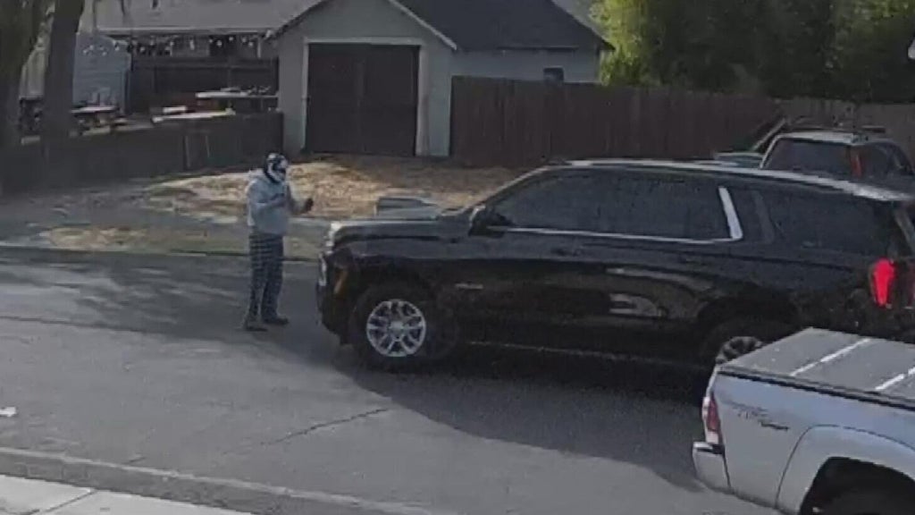 ICE responds after Woodland police dispute initial account of collision with pedestrian — CBS Bay Area (KPIX), Estero Health news