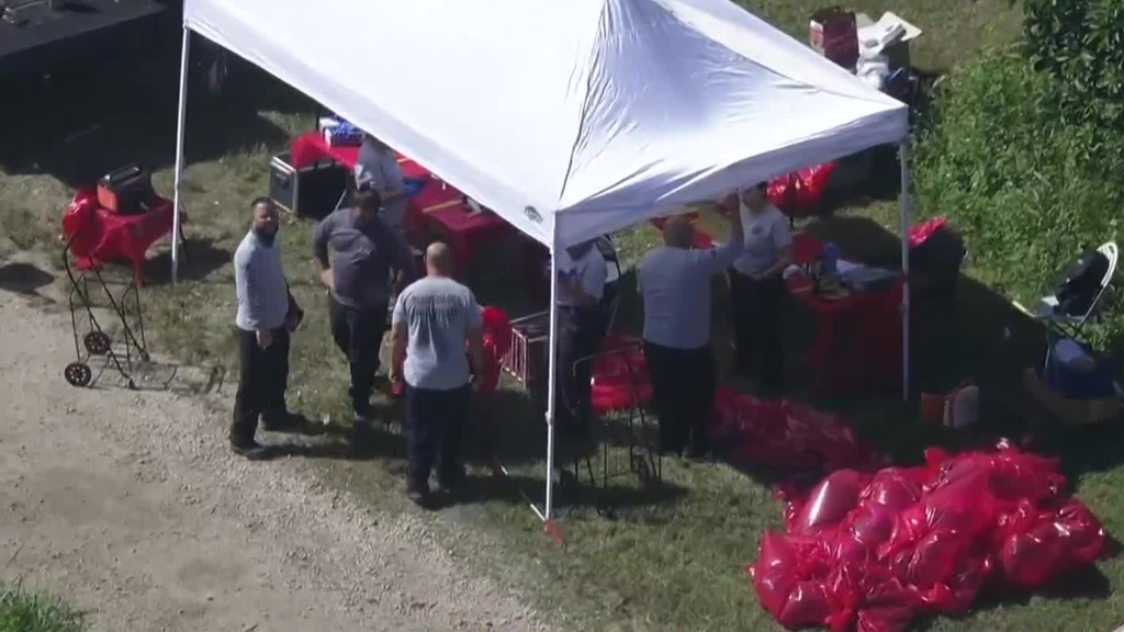 Family, friends of two men charged in Miami-Dade cockfighting case say allegations are false — CBS Miami, Estero Real Estate news