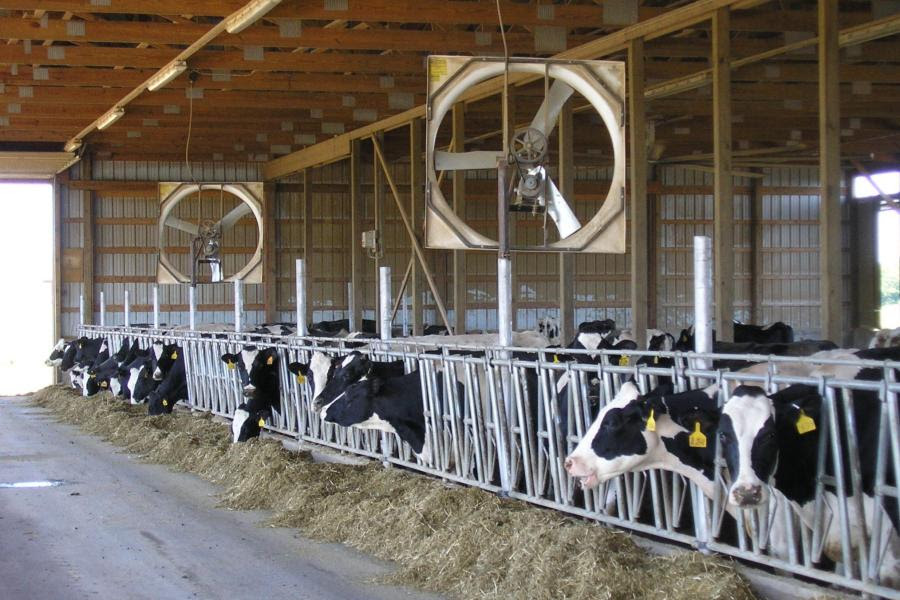 Dairy group seeks farmer input on fuel costs and farm economics — KFGO, Estero Business news