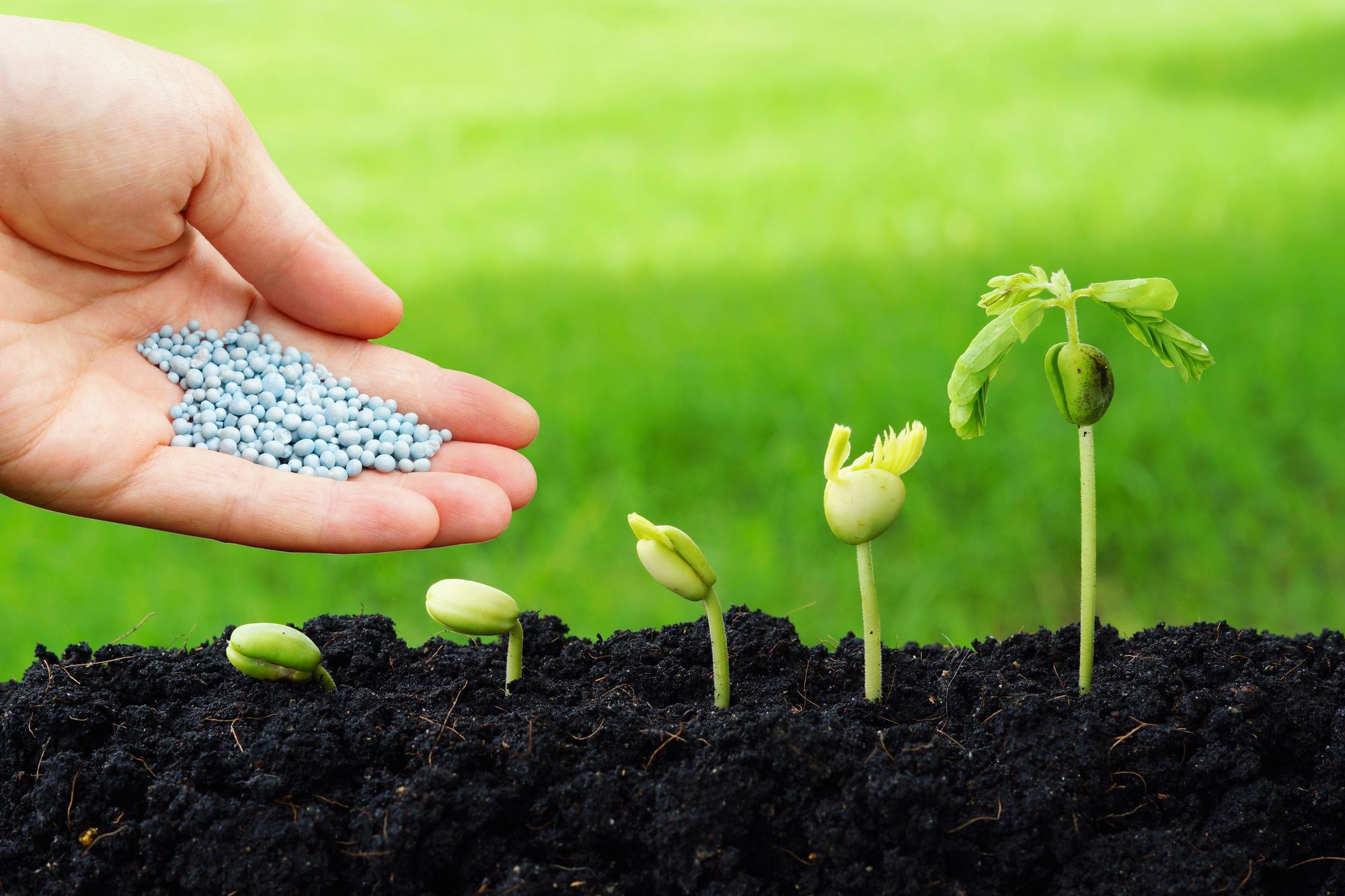 White House announces new fertilizer projects under USDA’s FIELDS program — KFGO