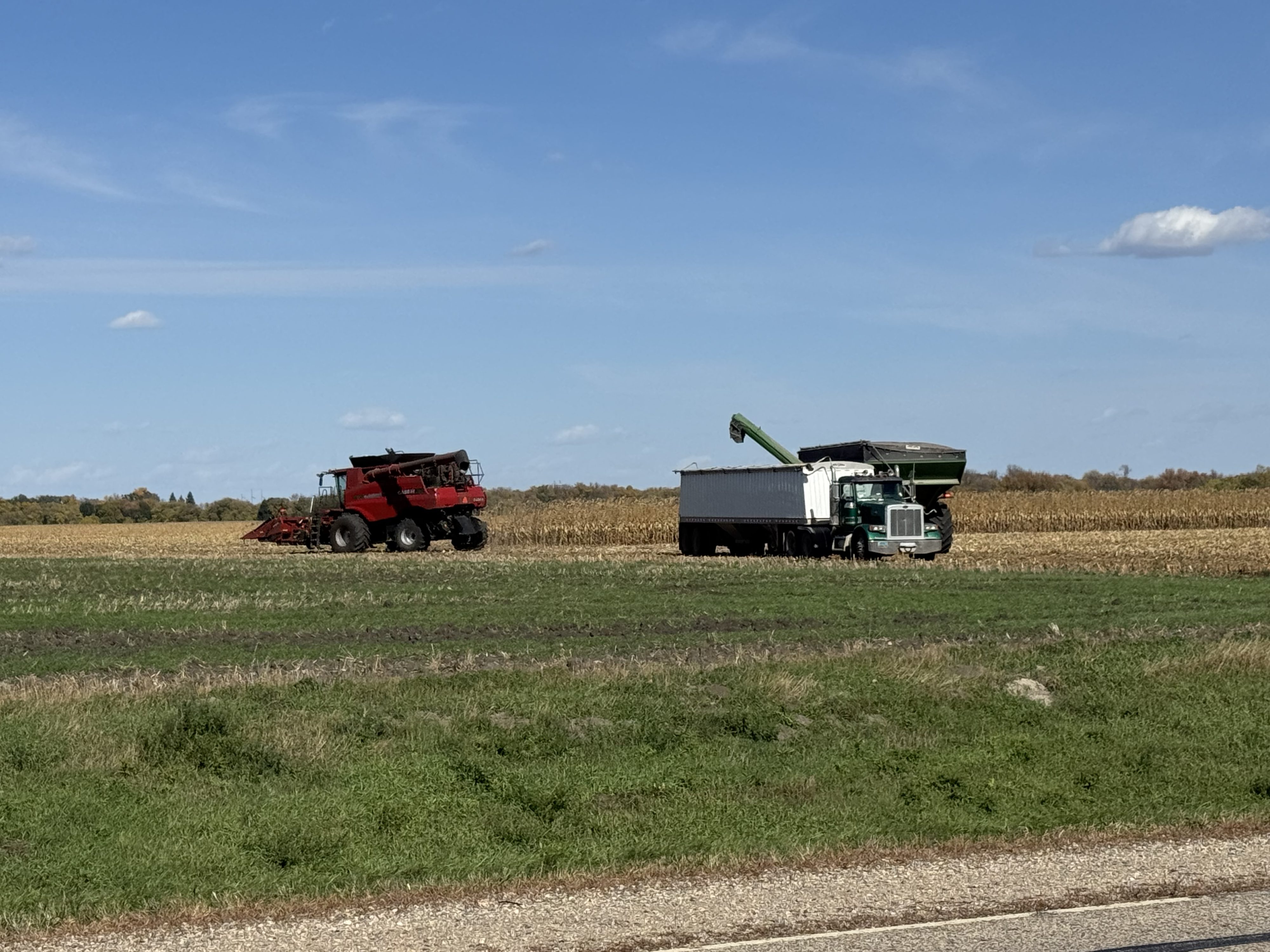 USDA announces record 2025 crop year safety net program payments — KFGO, Estero Community news