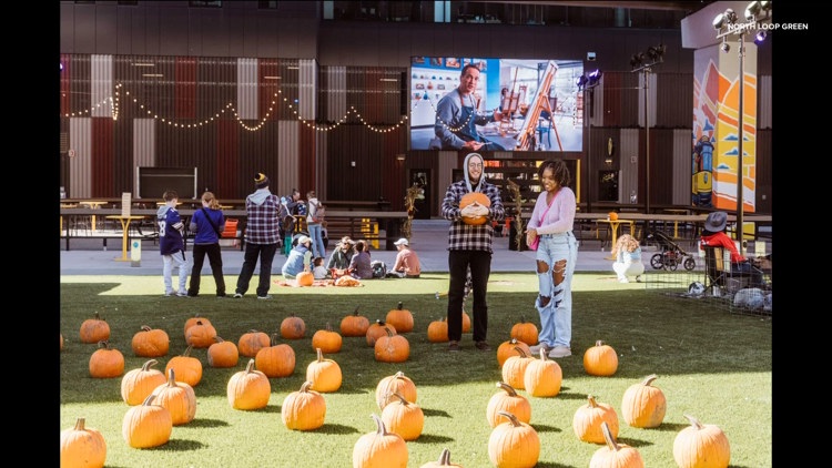 Spooky season with North Loop Green — KARE 11 Local, Estero Sports news