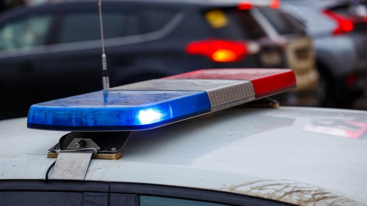 Dayton ISD bus driver arrested after student seriously injured in suspected hit-and-run, police say — KHOU 11 (Houston), Estero Schools news