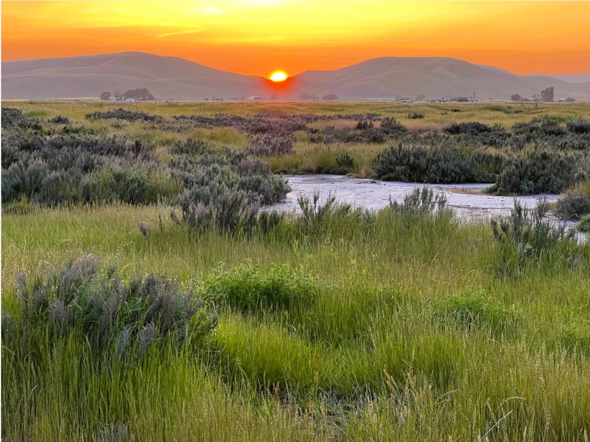 331 Acres Of Tri-Valley Wildlife Habitat, Open Space Permanently Protected — Danville Patch, Estero Community news