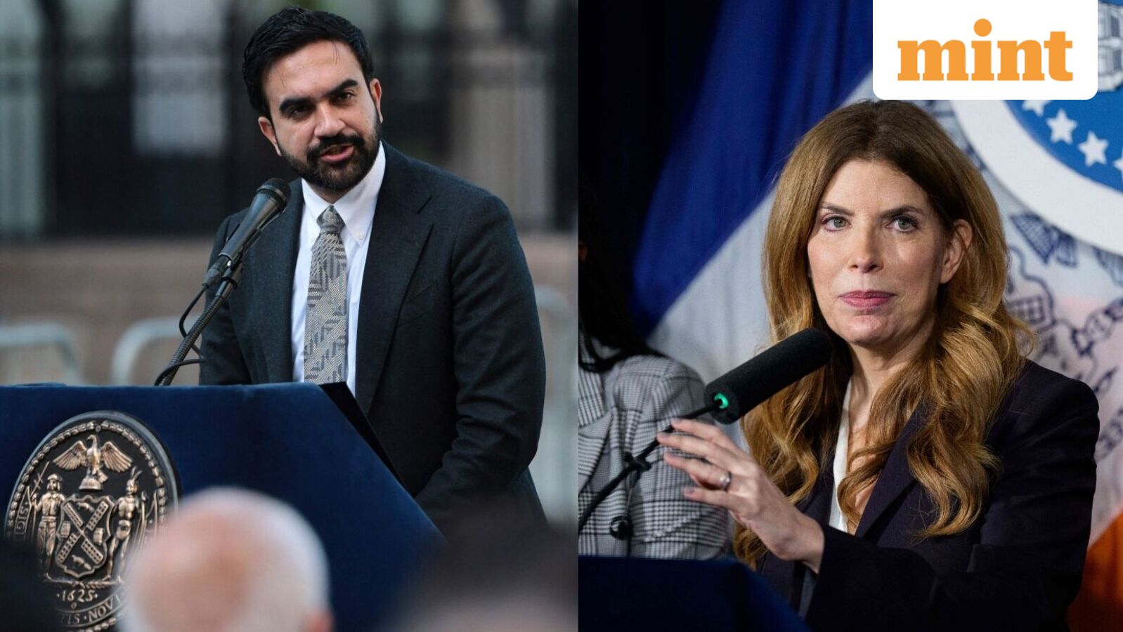 New York City's historic horse carriage rides to come to an end soon? All about Mayor Zohran Mamdani's latest move — Mint India, Estero Government news